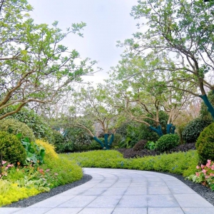 別墅庭院設(shè)計(jì)的后期如何養(yǎng)護(hù)鸡犬不留？